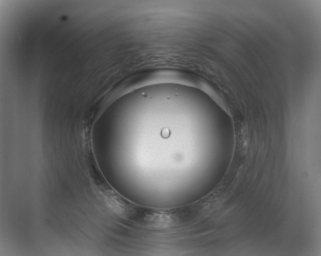 X0000073420276200607281200