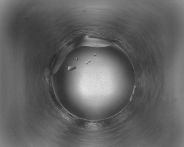 X0000073420277200607281200