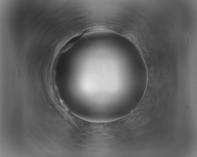 X0000073420289200607281159