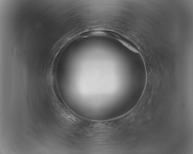 X0000073420290200607281159