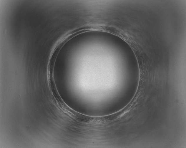 X0000073420294200607281159