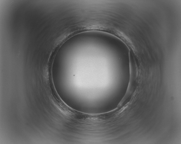 X0000073420298200607281159