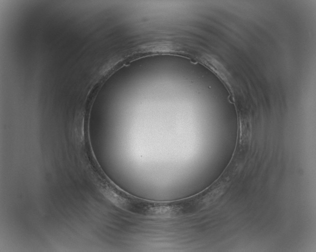 X0000073420301200607281159