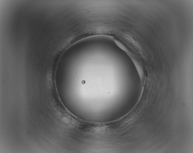 X0000073420306200607281159