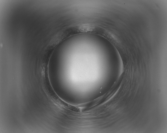 X0000073420315200607281159