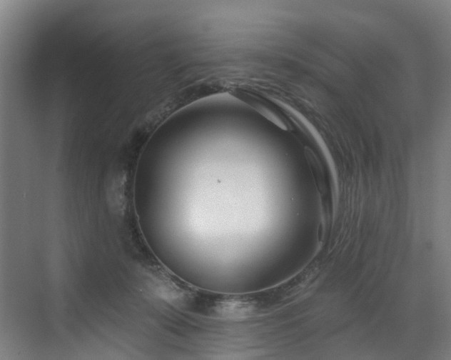 X0000073420319200607281159