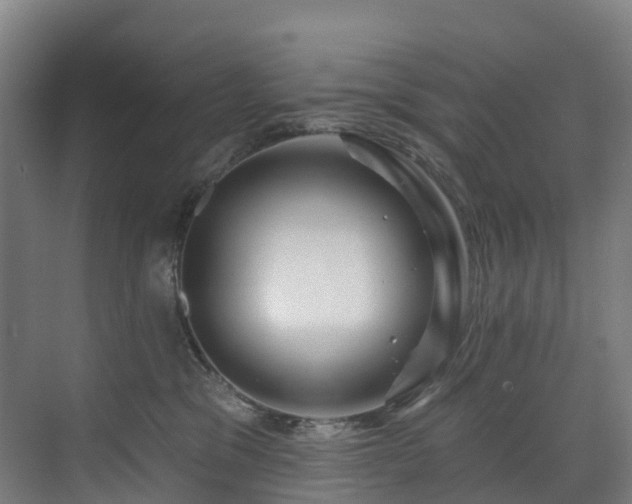 X0000073420329200607281159