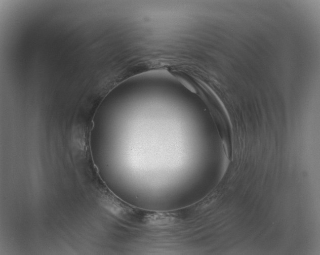 X0000073420331200607281159