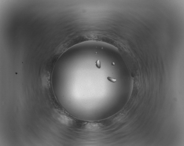 X0000073420332200607281159