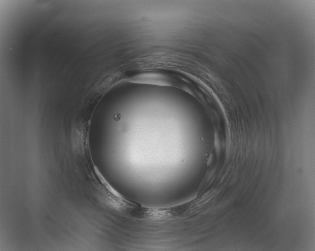 X0000073420333200607281159