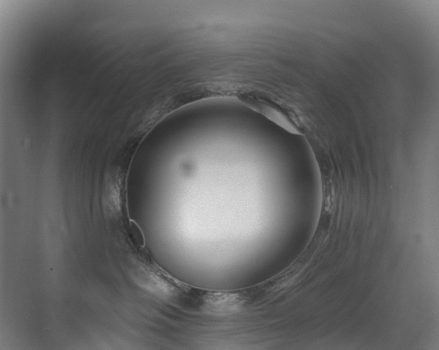 X0000073420334200607281159