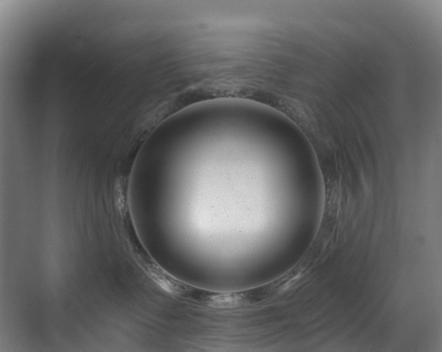 X0000073420335200607281159