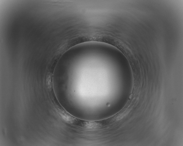 X0000073420336200607281159