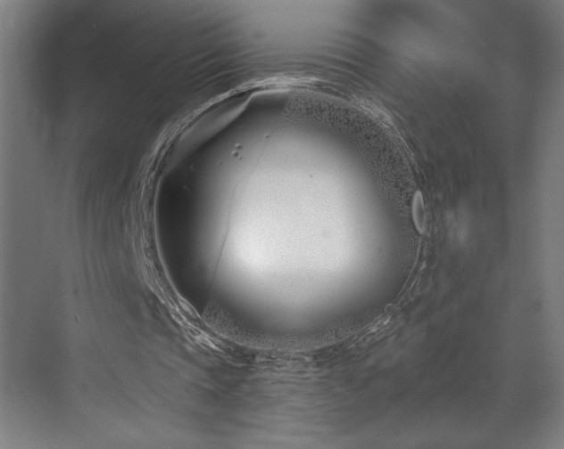 X0000073420337200607281158