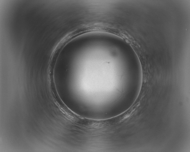 X0000073420341200607281158