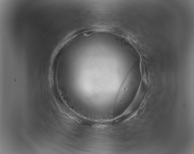 X0000073420343200607281158