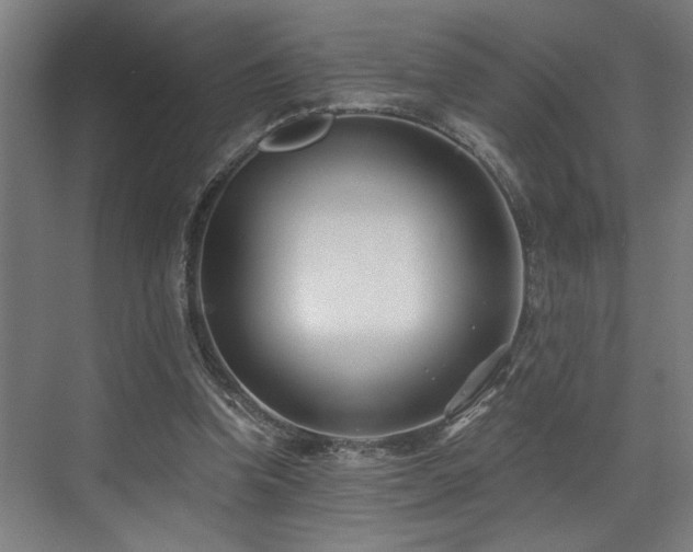 X0000073420346200607281158