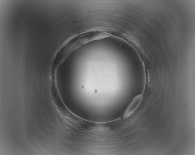 X0000073420348200607281158