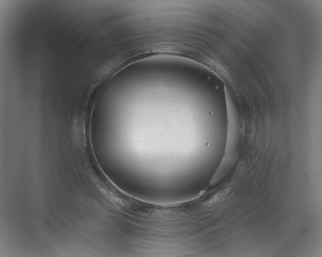 X0000073420349200607281158