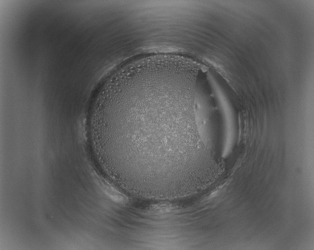 X0000073420351200607281158