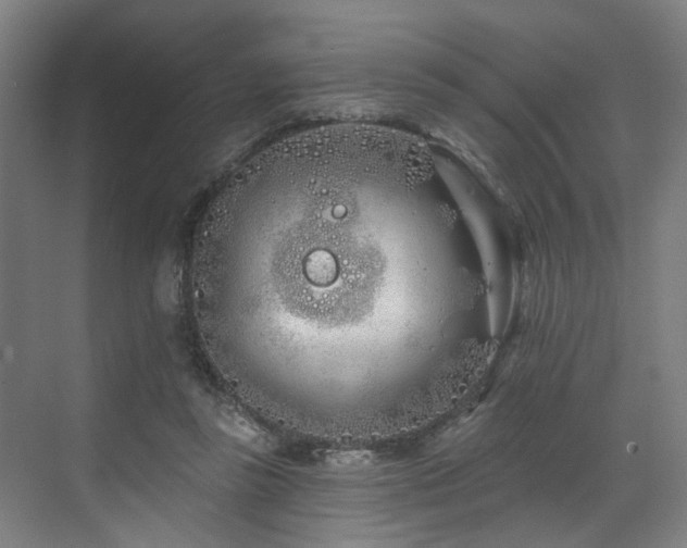 X0000073420355200607281158