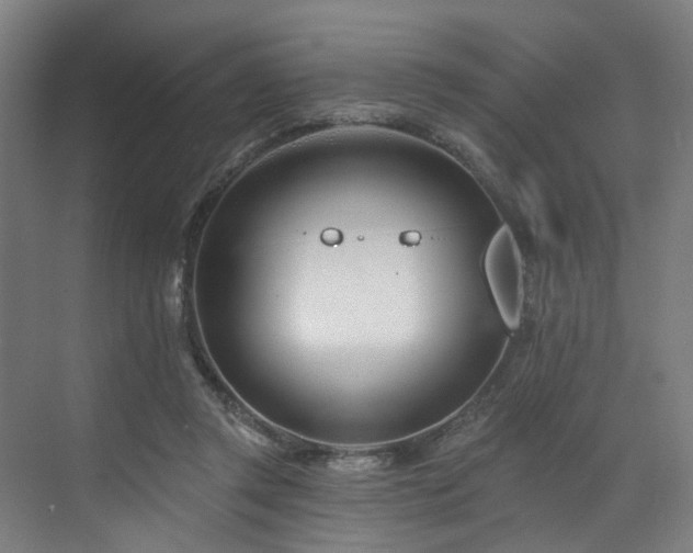 X0000073420357200607281158