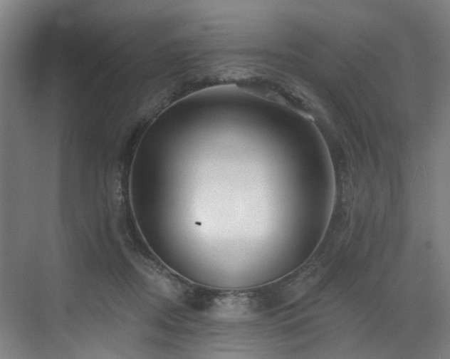 X0000073420362200607281158