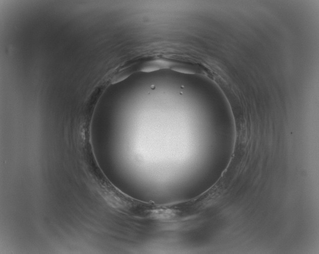 X0000073420363200607281158