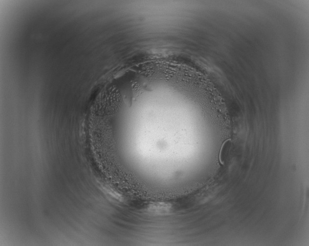 X0000073420369200607281158