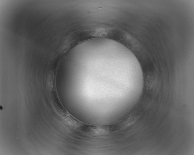 X0000073420370200607281158