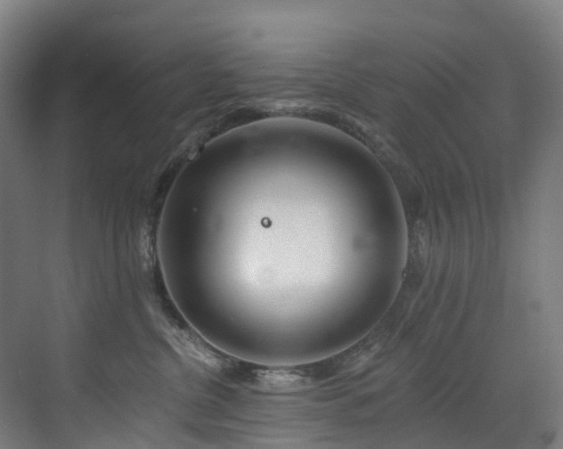 X0000073420380200607281159