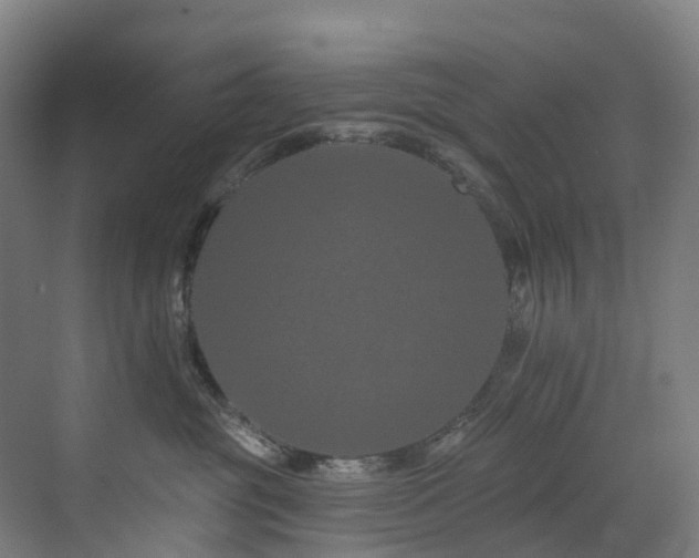 X0000073420381200607281159