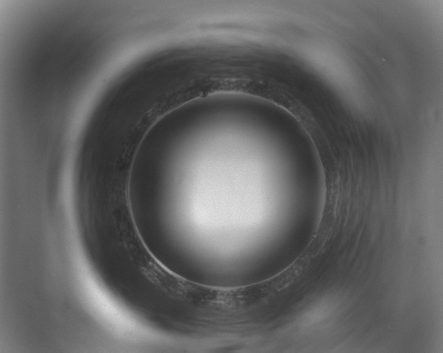 X0000073420383200607281159