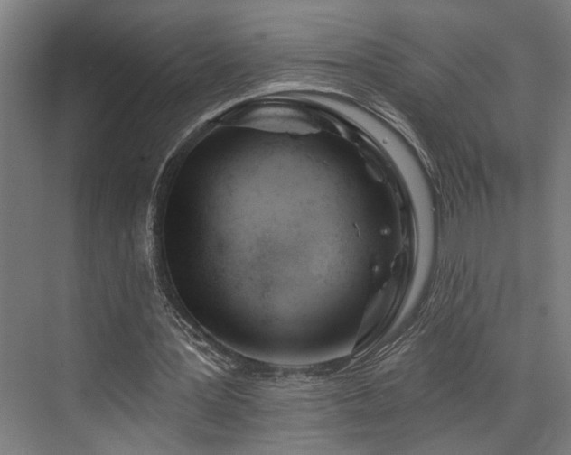 X0000073420387200607281158