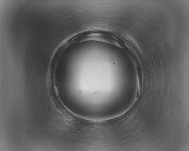 X0000073420388200607281158