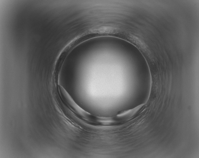 X0000073420392200607281158