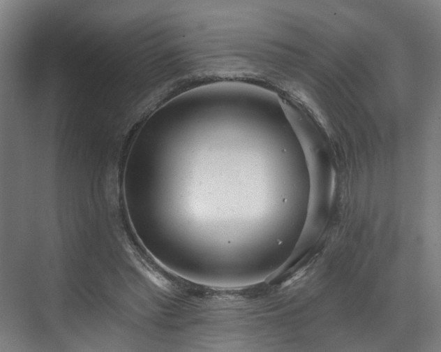 X0000073420397200607281158