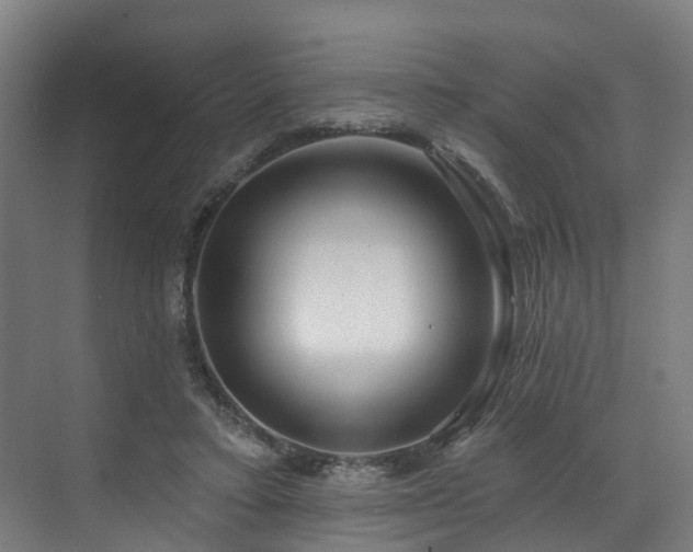 X0000073420403200607281158