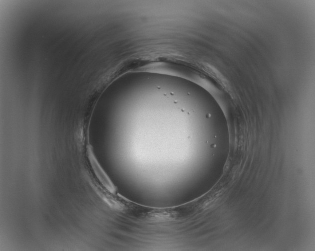 X0000073420405200607281158