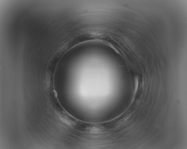 X0000073420412200607281157