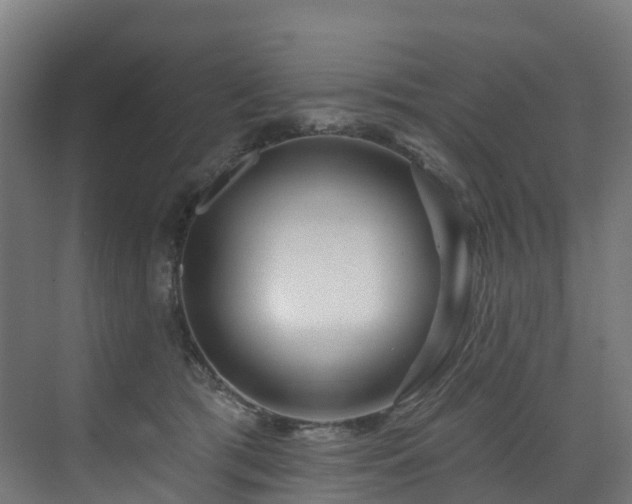 X0000073420417200607281157