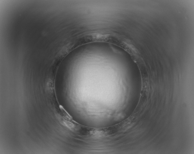 X0000073420419200607281157