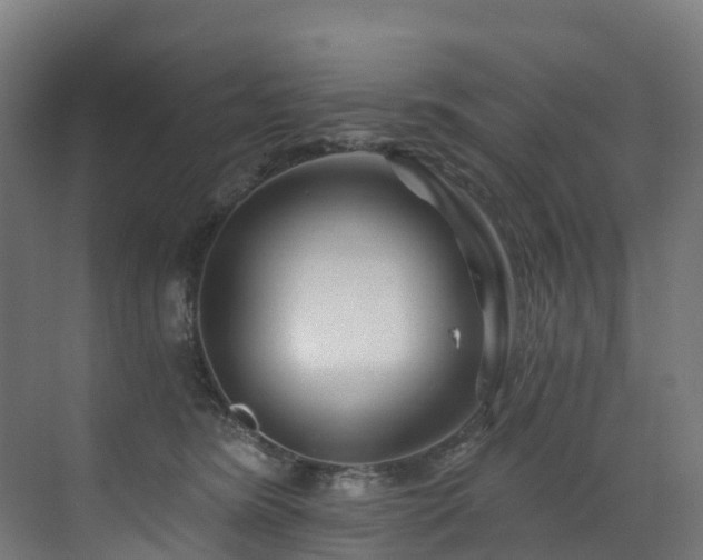 X0000073420420200607281157