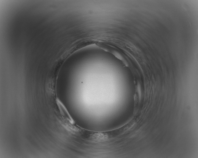 X0000073420421200607281157