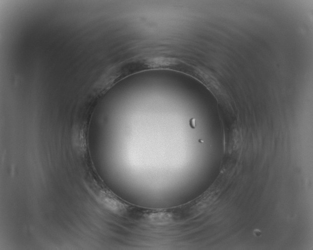 X0000073420426200607281157