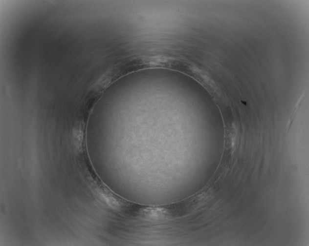 X0000073420427200607281157