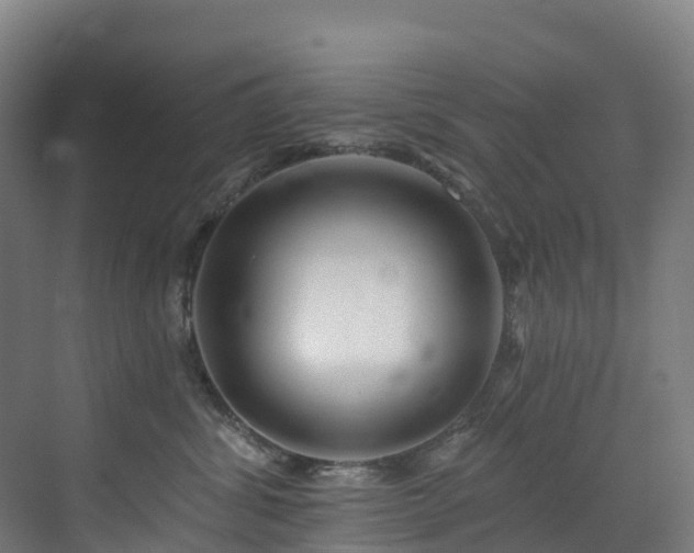 X0000073420428200607281157