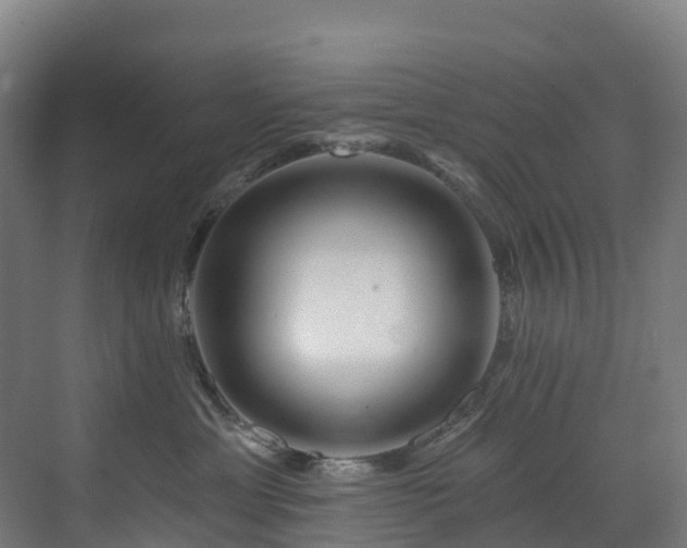 X0000073420429200607281157