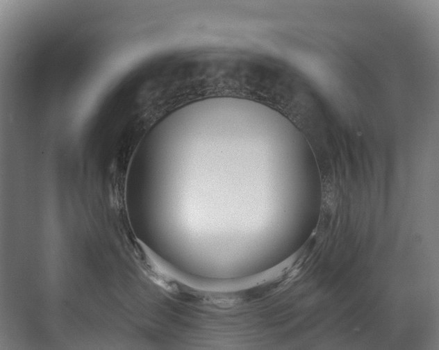 X0000073420431200607281157