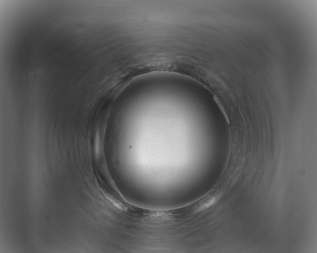 X0000073420432200607281157